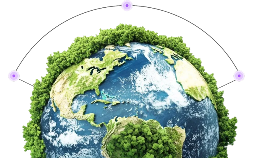 Sustainability impact of digital business cards